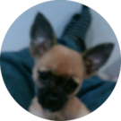 Hunter Knickrehm Avatar