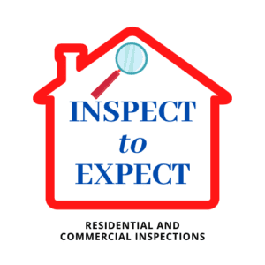 Inspect to Expect Logo